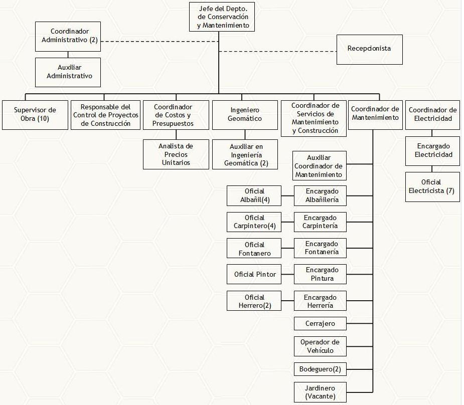 Organigrama